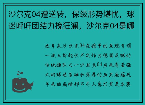 沙尔克04遭逆转，保级形势堪忧，球迷呼吁团结力挽狂澜，沙尔克04是哪个国家的俱乐部